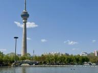 北京玉渊潭天鹅船萌化了 温馨场景吸引市民观赏