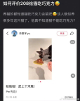 华晨宇给猫报平安 生龙活虎证明无恙