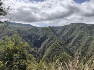 温州这个村光靠卖“空气”赚了近30万元？