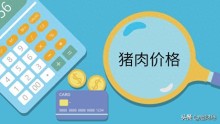 猪肉价格为啥很难涨起来，但是却很容易跌下去