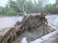 東北等地大風為何這么強 冷渦與氣旋共舞