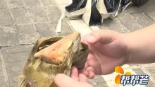 女子投訴元祖粽子吃出蟲子 母女遭遇食品安全噩夢