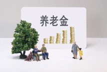 養(yǎng)老金是怎樣構(gòu)成的
