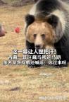 游客投喂藏馬熊 還喊話：你過來呀 心大游客無視警告