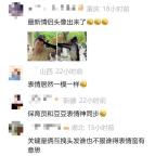 寶寶嘗試投喂白鯨反復(fù)嘗試都丟歪了