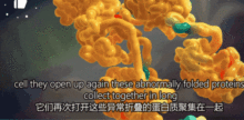 廣東阿姨咳嗽久治不愈竟是血液病 罕見(jiàn)病因揭秘