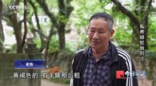 独居男子小区里养300条蟒蛇 非法饲养引发关注