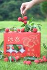荔枝界爱马仕一斤380元 品质在线抗风险