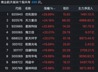A股商业航天板块午后“满屏涨停” 火箭回收创历史