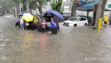 沈阳暴雨后一车辆上爬满蜗牛 城市排水系统受考验