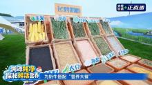 飞鹤鲜活营养更安全 全产业链透明溯源