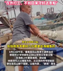 男子告别送外卖跟父亲出海：在外打工，不如回来守好这条船