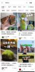 “养砖头”为什么戳中年轻人 低成本治愈新潮流