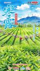 寒露是第1个带寒字的节气 宣告凉爽向寒冷过渡