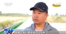 全国秋粮收获进入高峰期 秋收进展顺利有望丰收