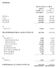 优必选：2025 上半年营收 6.2 亿元同比增长 27.5%，净亏 4.4 亿元