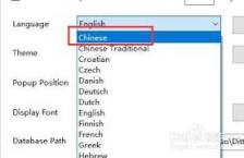 Ditto如何设置成中文