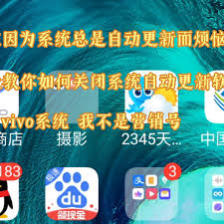 vivo应用商店app如何关闭自动更新