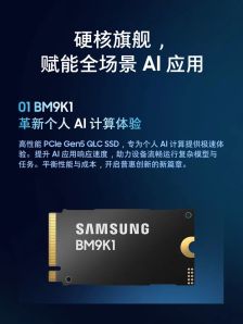 三星电子公布消费级固态硬盘 BM9K1，高性能 PCIe Gen5 QLC 产品