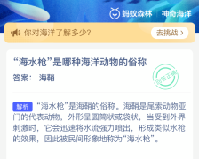 海水枪是哪种海洋动物的俗称