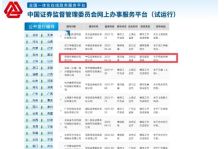 荣耀IPO 启动！