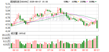 已剥离子公司捅出“大窟窿”，顾地科技上半年亏损2.94亿元