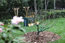 英国首相今起访问上海：外滩钟声准时鸣响，期待下个中英黄金时代