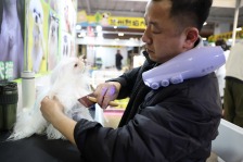 宠物经济打开消费新场景