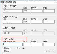 如何设置IDM下载器代理服务器