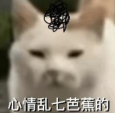 退订营销短信要花0.1元 法院判了 用户维权获赔