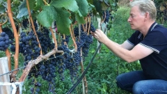 Le viticulteur Yves Roduit: On doit réhabituer les gens au vrai goût du vin."