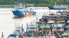 Hainan’s fishing ports and vessels go on static management