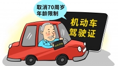 Jia zhao-Patente di guida