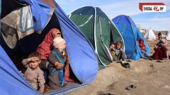 Cina offre assistenza concreta al popolo afghano