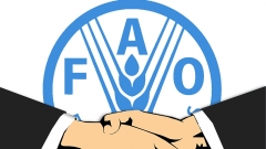 FAO: sicurezza alimentare di circa 60 milioni di persone in Brasile non garantita dal 2019 al 2021