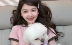 章若楠戴蓝发夹俏皮软萌 穿粉T抱小狗元气又治愈