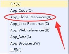 vs添加ASP.Net文件夹中各选项是什么意思