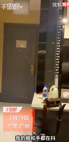 一酒店天花板掉下一只猫