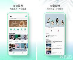 QQ音乐简洁版和普通版有何区别