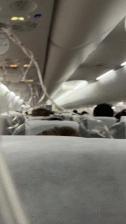 客机从上海飞东京途中突然速降 经历惊魂时刻-榕江商户甩卖泡水鞋拒爱心网购 自救减