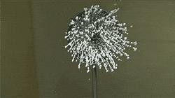 秋冬尽量少洗澡 减少健康隐患