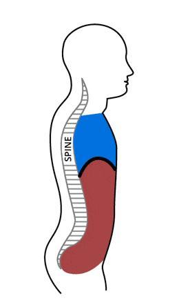 睡觉把手举过头顶为什么很舒服 呼吸模式紊乱信号