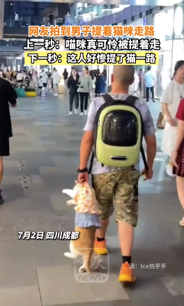 街头遇男子拎着猫咪走路 网友：好赖一猫