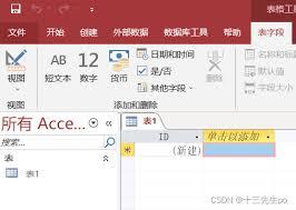 access如何对字段进行智能标志