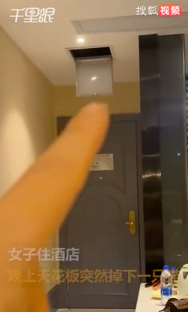 一酒店天花板掉下一只猫