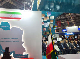 افتتاح پاوین ملی ایران در نمایشگاه واردات چین