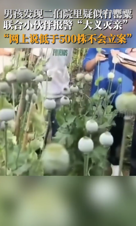 大义灭亲！男孩举报二伯家有罂粟 还带着民警一路找到二伯家