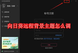 向日葵远程控制如何更改主题背景