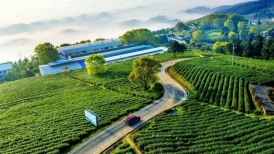 China promueve la revitalización de las zonas rurales