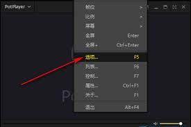 PotPlayer如何显示浮窗提示